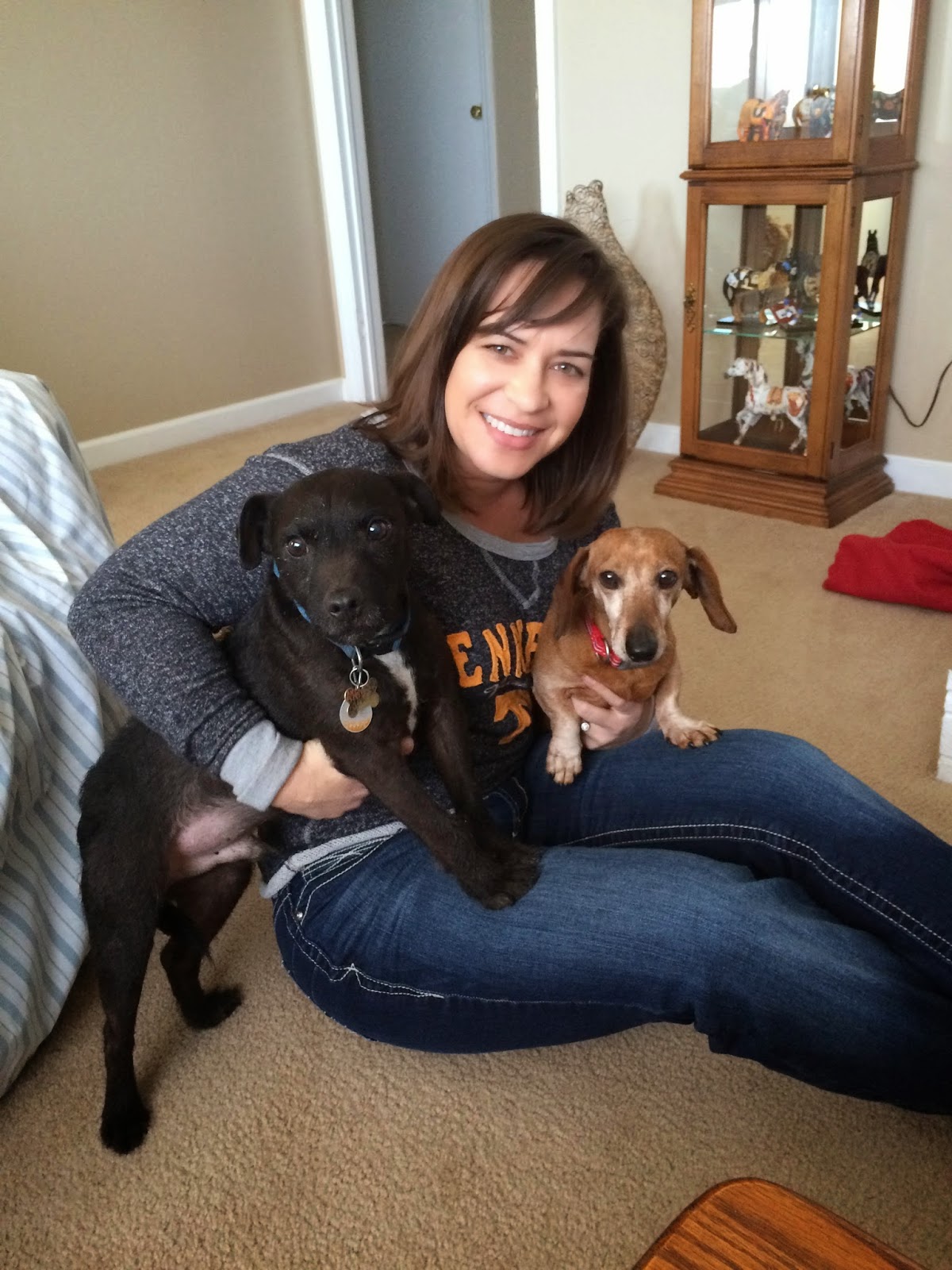 Best Antibiotic Rroute Dogs Best Antibiotic Rroute Dogs