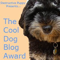 The Cool Dog Blog Award