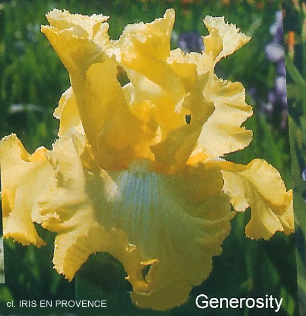 rencontre femme plemet