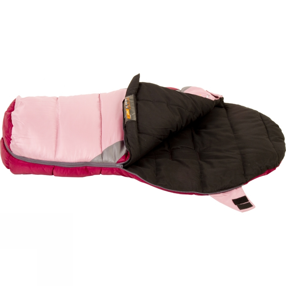 Camping and Exploring with Dogs Essential Camping Accessories