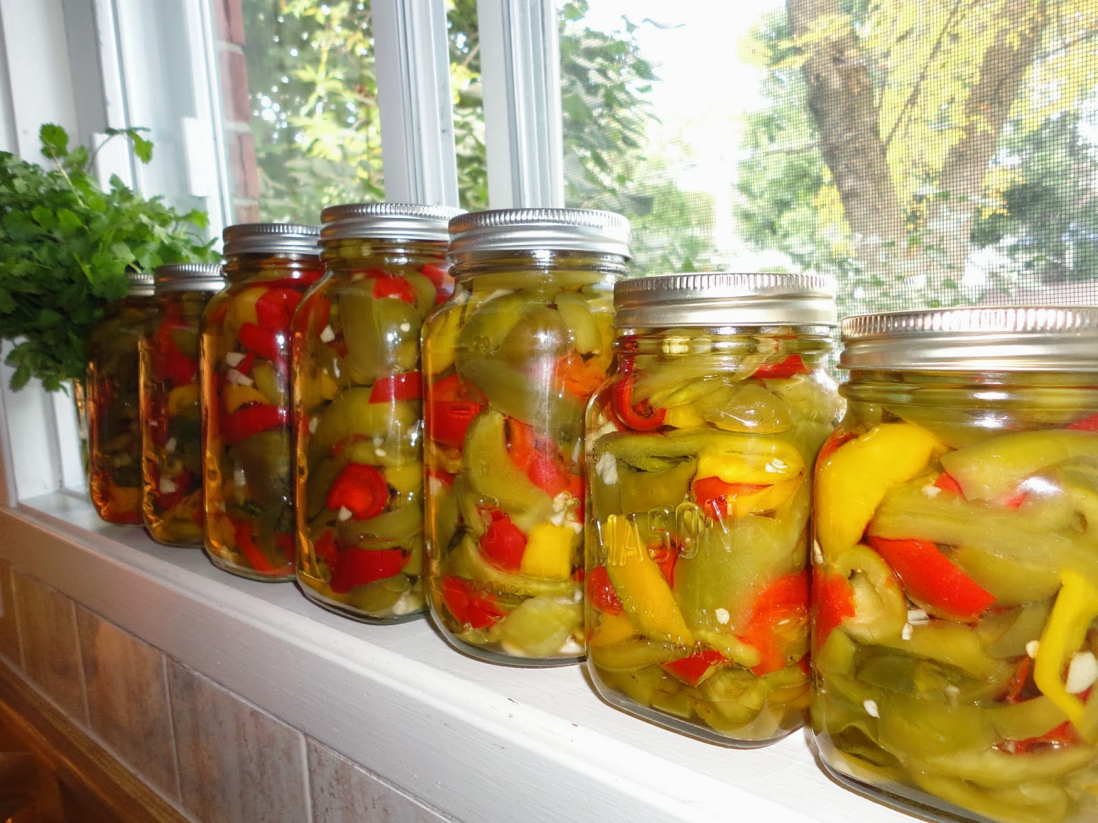 Just my Stuff Hot Pickled Peppers