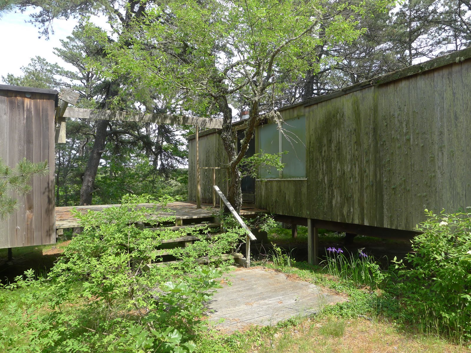 painting box THE HATCH HOUSE IN WELLFLEET + MORE