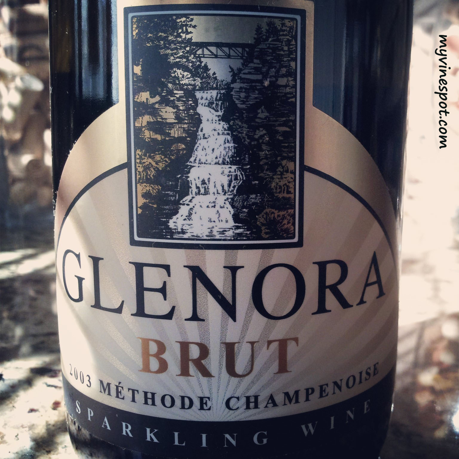 A Trio of Wines from the Finger Lakes Goose Watch Winery, Glenora