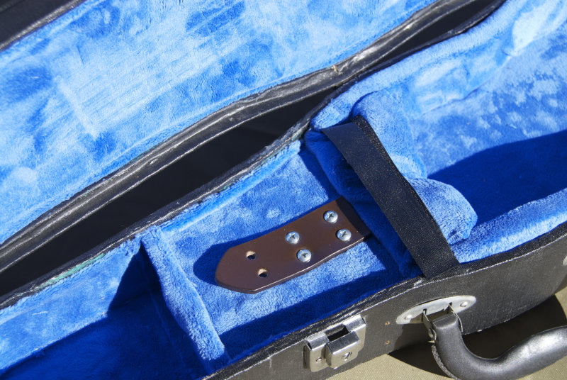 unschool plus violin case to ukulele case