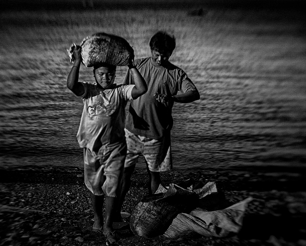 Monochrome Mini Competition #709