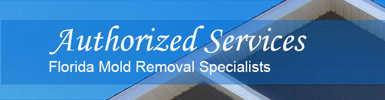 Authorized Services