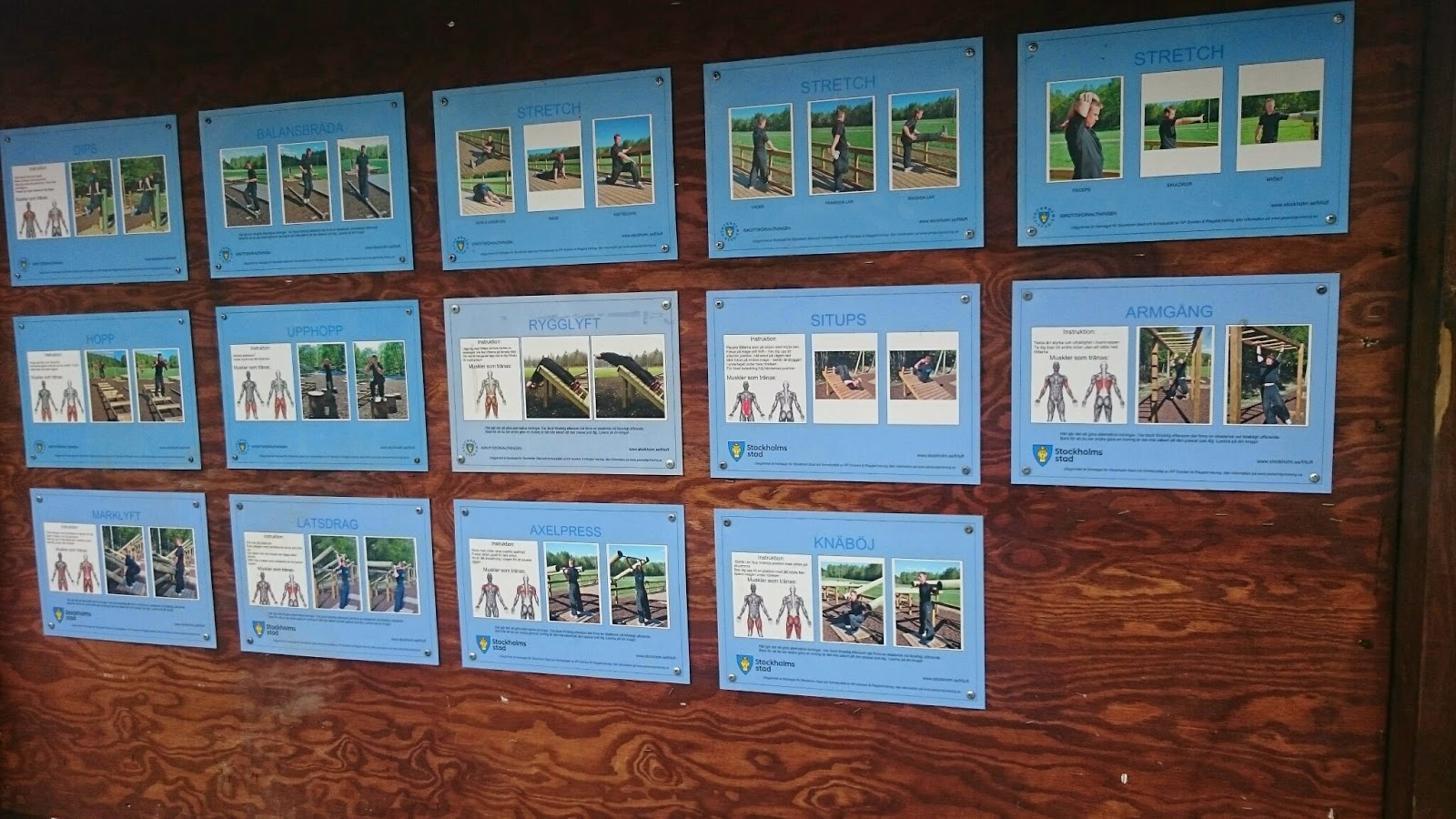 gå på promenad dejt