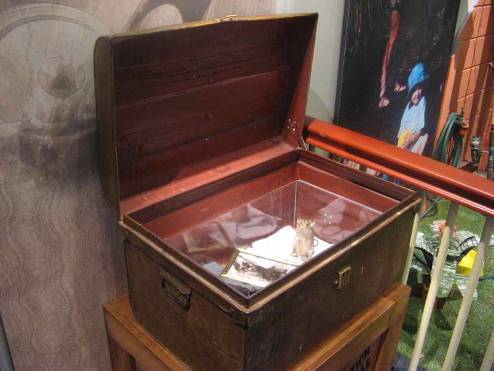 Internship at Townsville Museum 2013 Helen Price Display Ideas