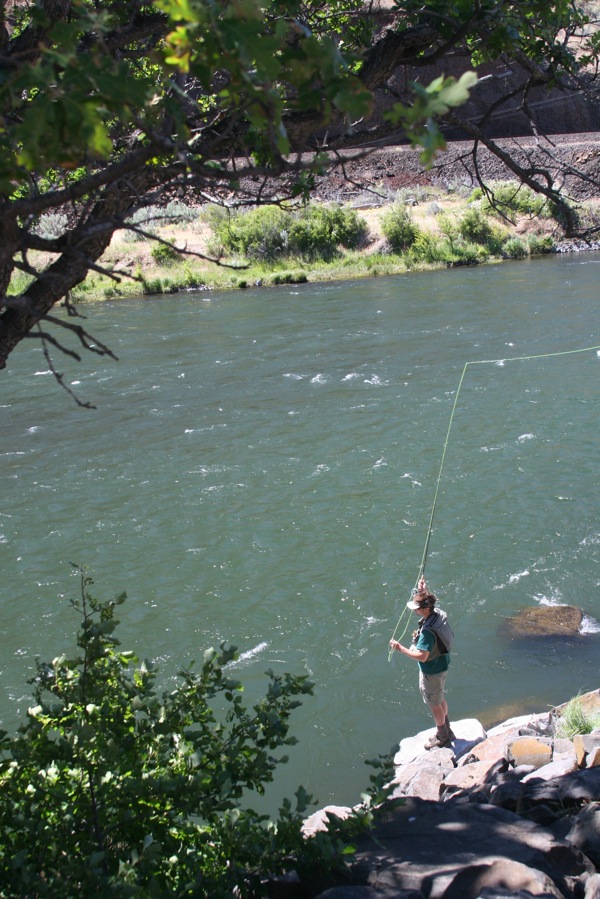 Oregon Fly Fishing Report by Larimer Outfitters Deschutes River Trout