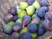 FRUTOS