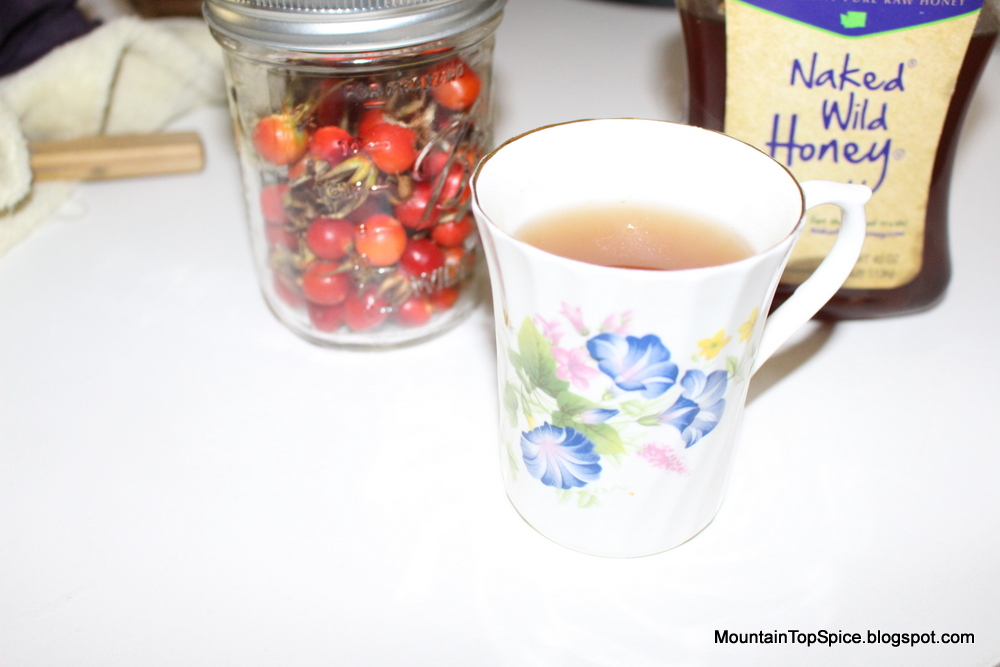 Mountain Top Spice A Gift of Rose Hips... and How to Collect, Drink