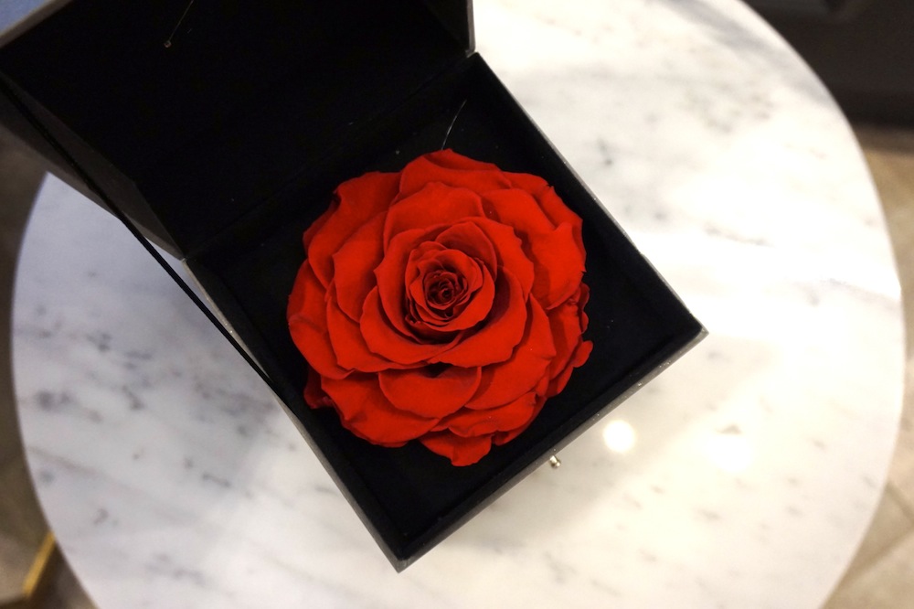 Te Amo Floristeria Will Make You Fall In Love With Flowers More + First