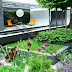 TUKANG TAMAN MINIMALIS MODERN