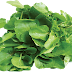 ماهي فوائد الجرجير watercress