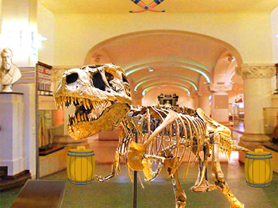 Camera Museum Escape Juegos de Escape Ajaz Gold Fish Escape