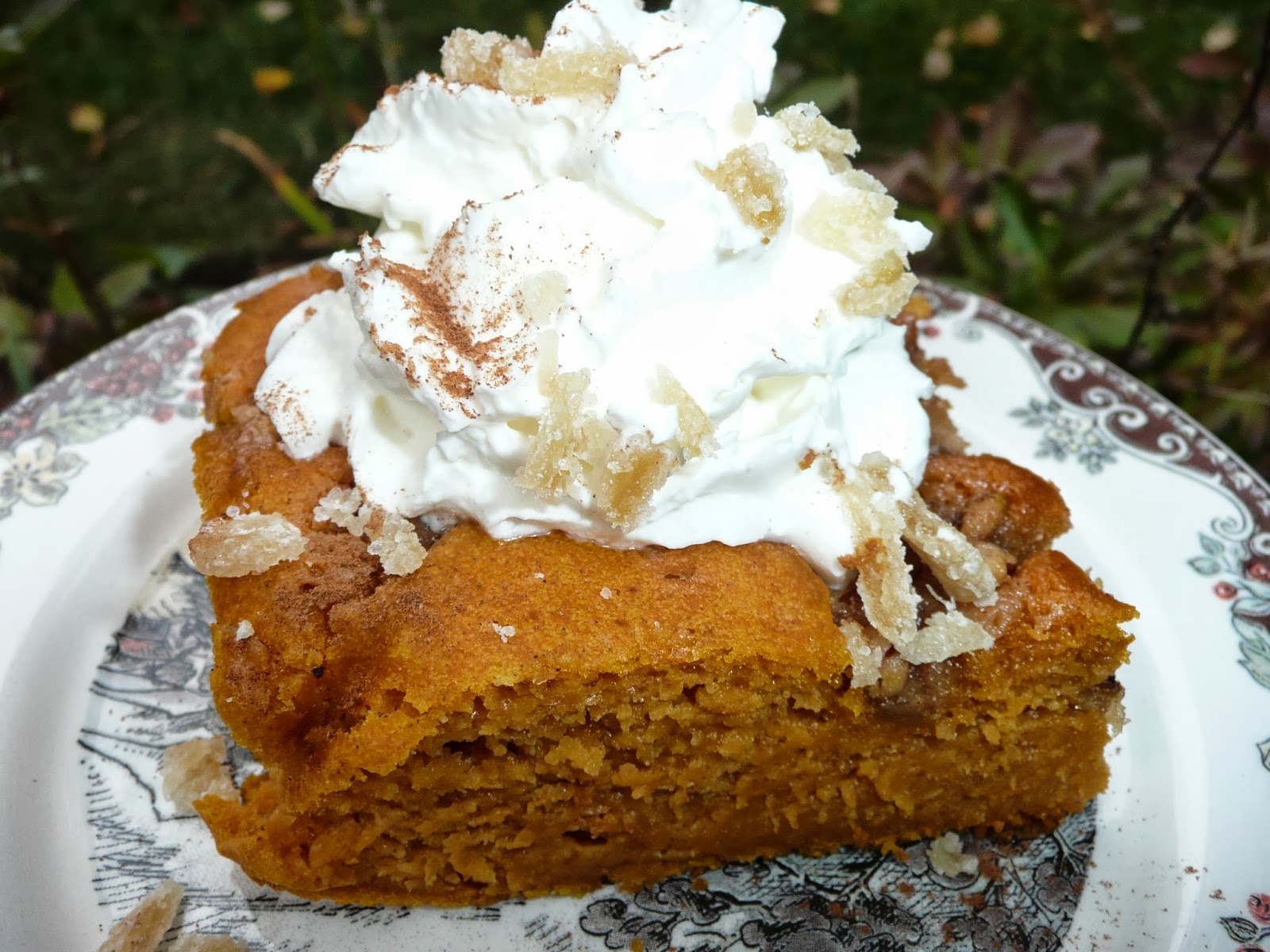 Everyday Dutch Oven Pumpkin Crumble Cake