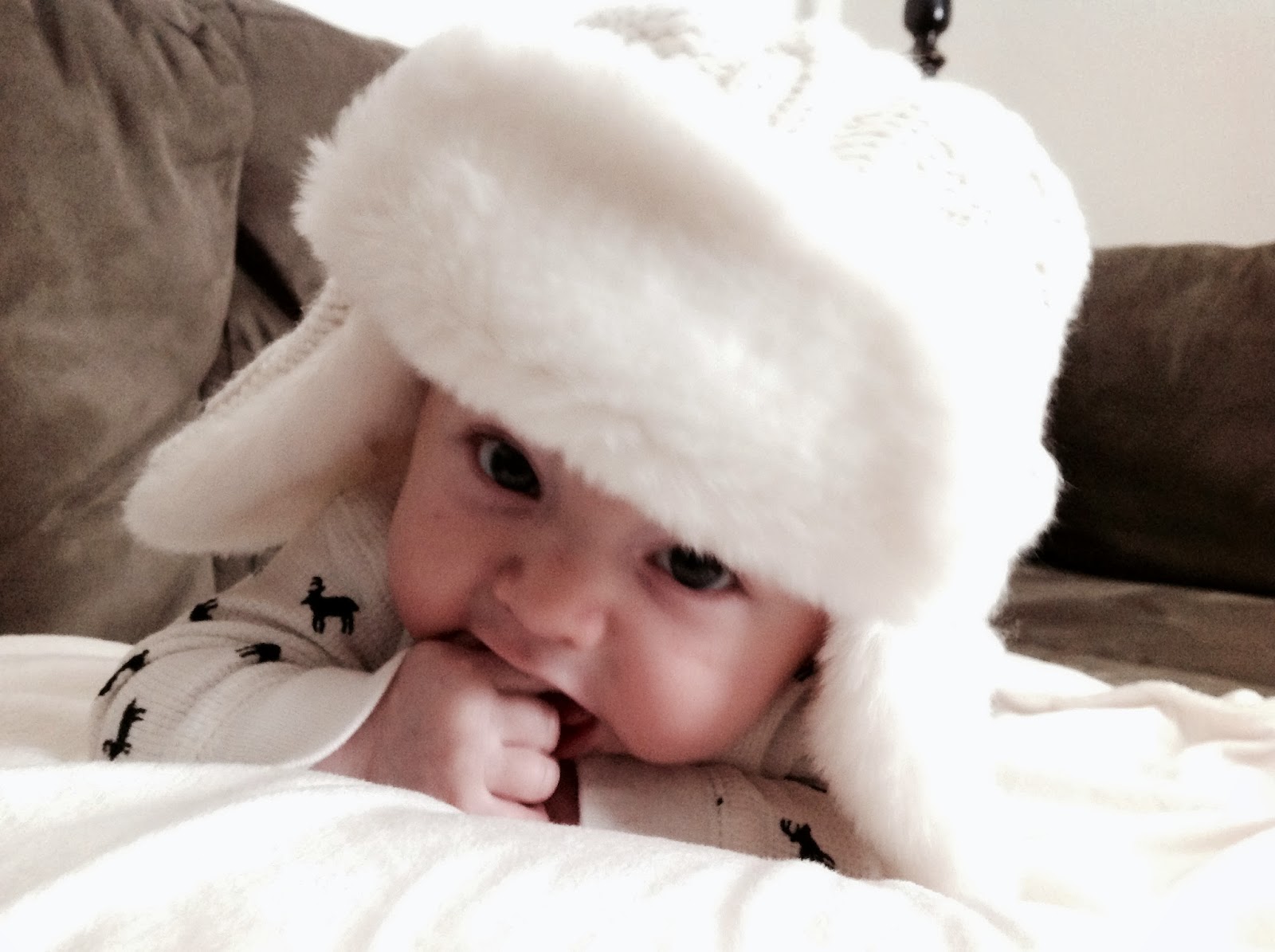 a little pinch of color January Baby Pics