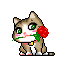 Animasi Kucing Lucu