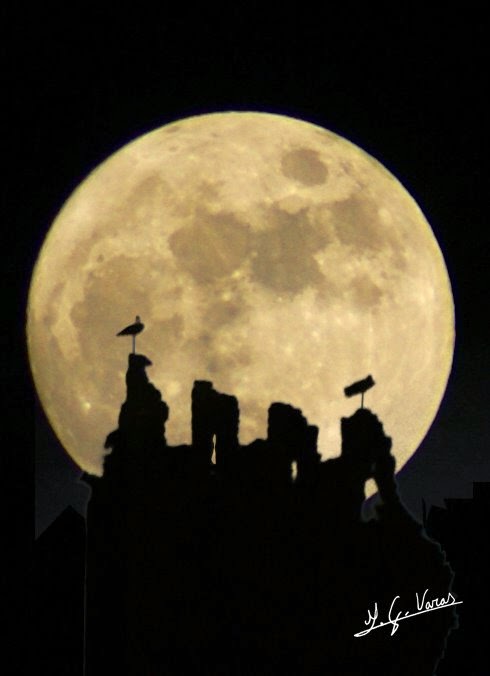 Cigueñas en el Castillo Tejeda por la noche Javier Garcia Jagerdbj