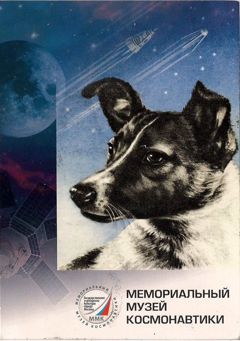Name Of Russian Dog That Went Into Space Name Of Russian Dog That Went Into Space