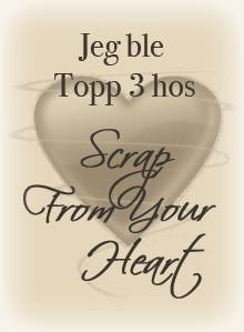 Topp 3 hos "Scrap from your heart"
