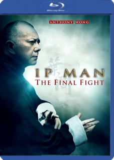 Ip Man 4: La Pelea Final (2013) Dvdrip Latino Imagen1~1