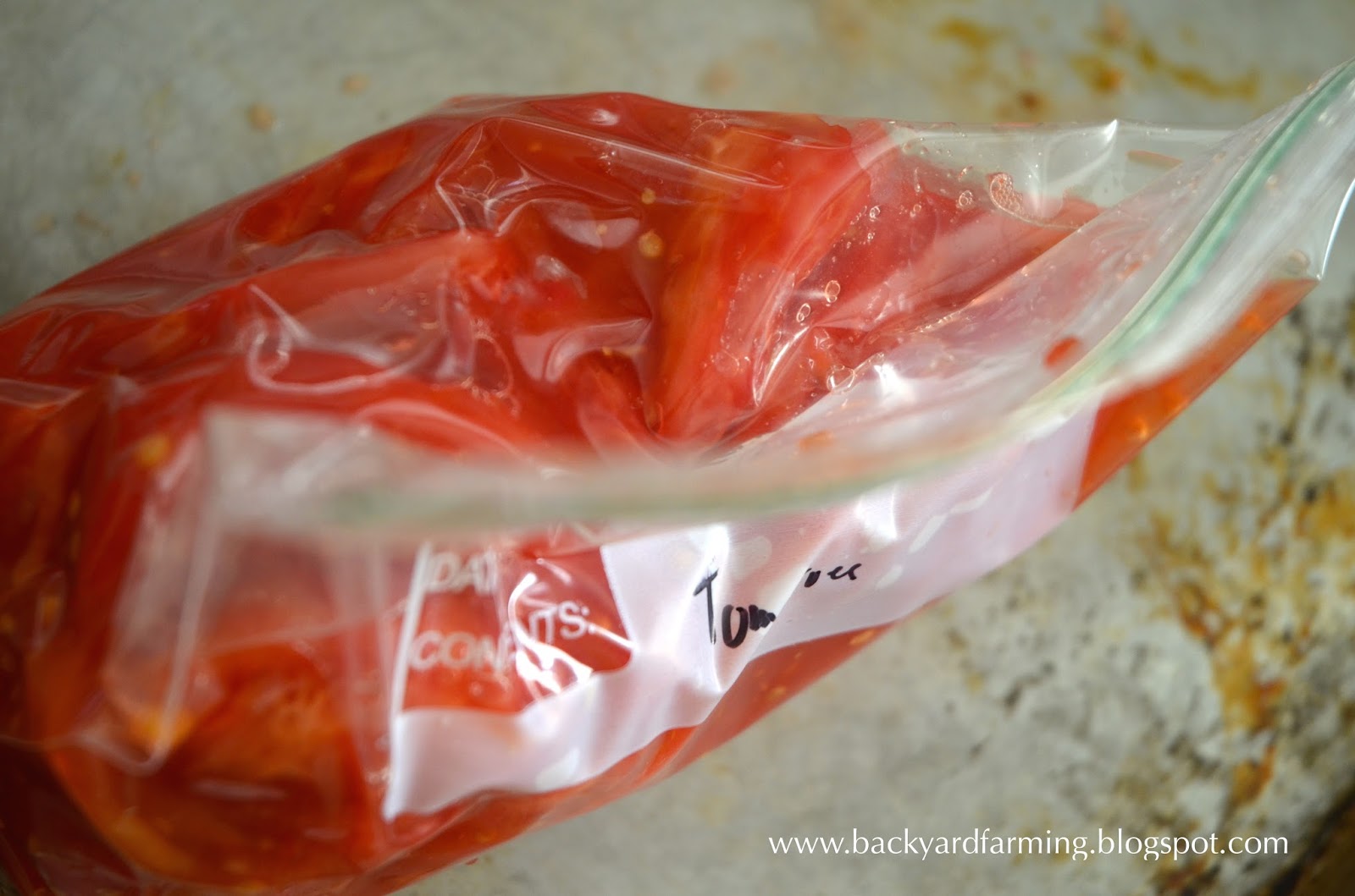 Backyard Farming Poorman's vacuum sealer, and freezing tomatoes