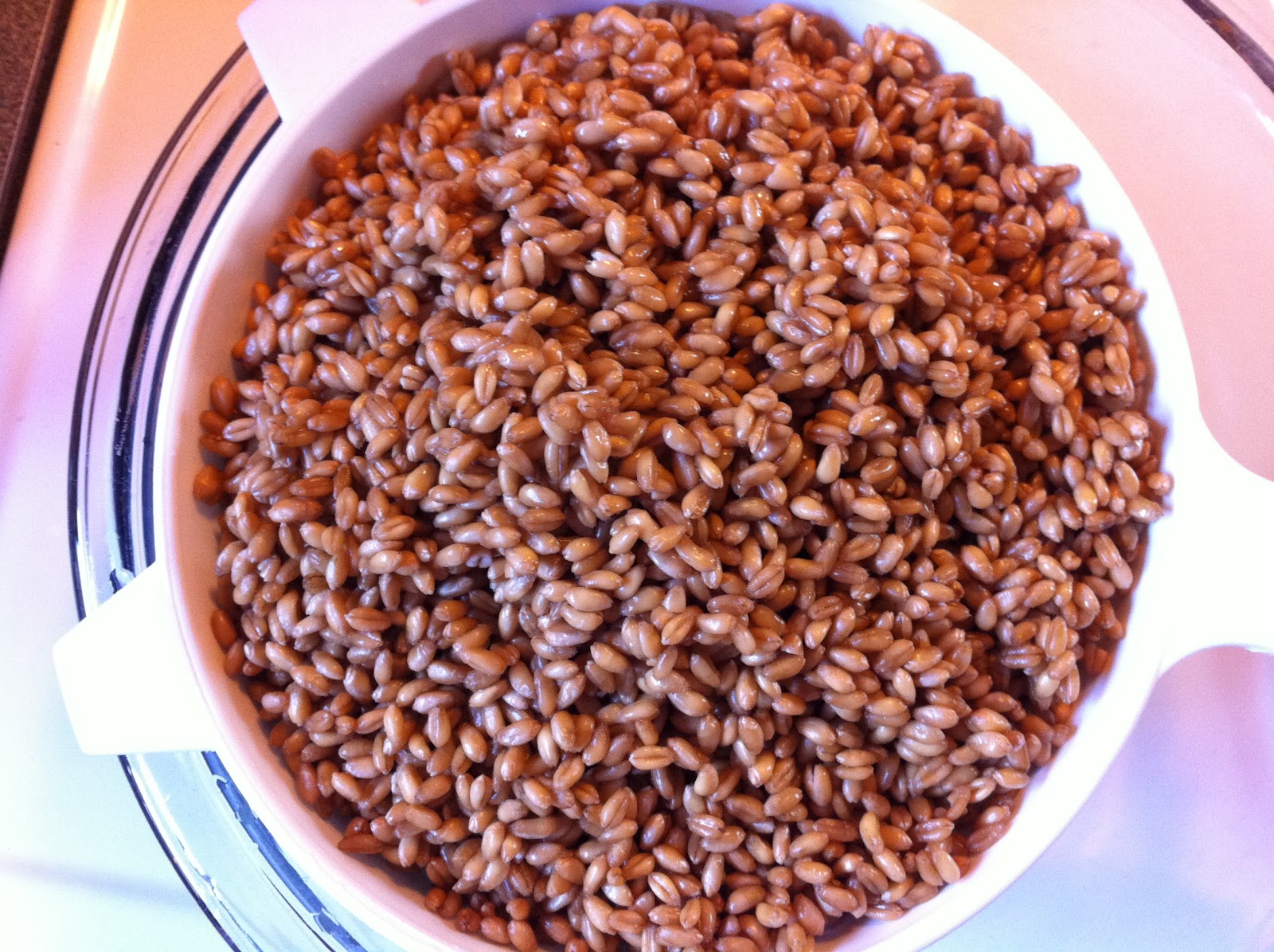 Craving Fresh How to make sprouted flour