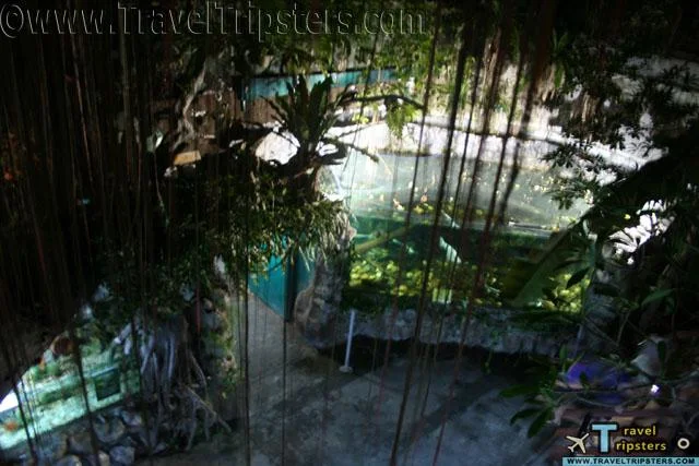 oceanarium oceanarium