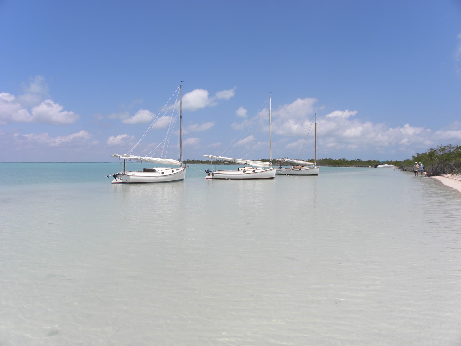 MY LIFE IN THE FLORIDA KEYS AND BEYOND Nest Key Revisited...East Wind
