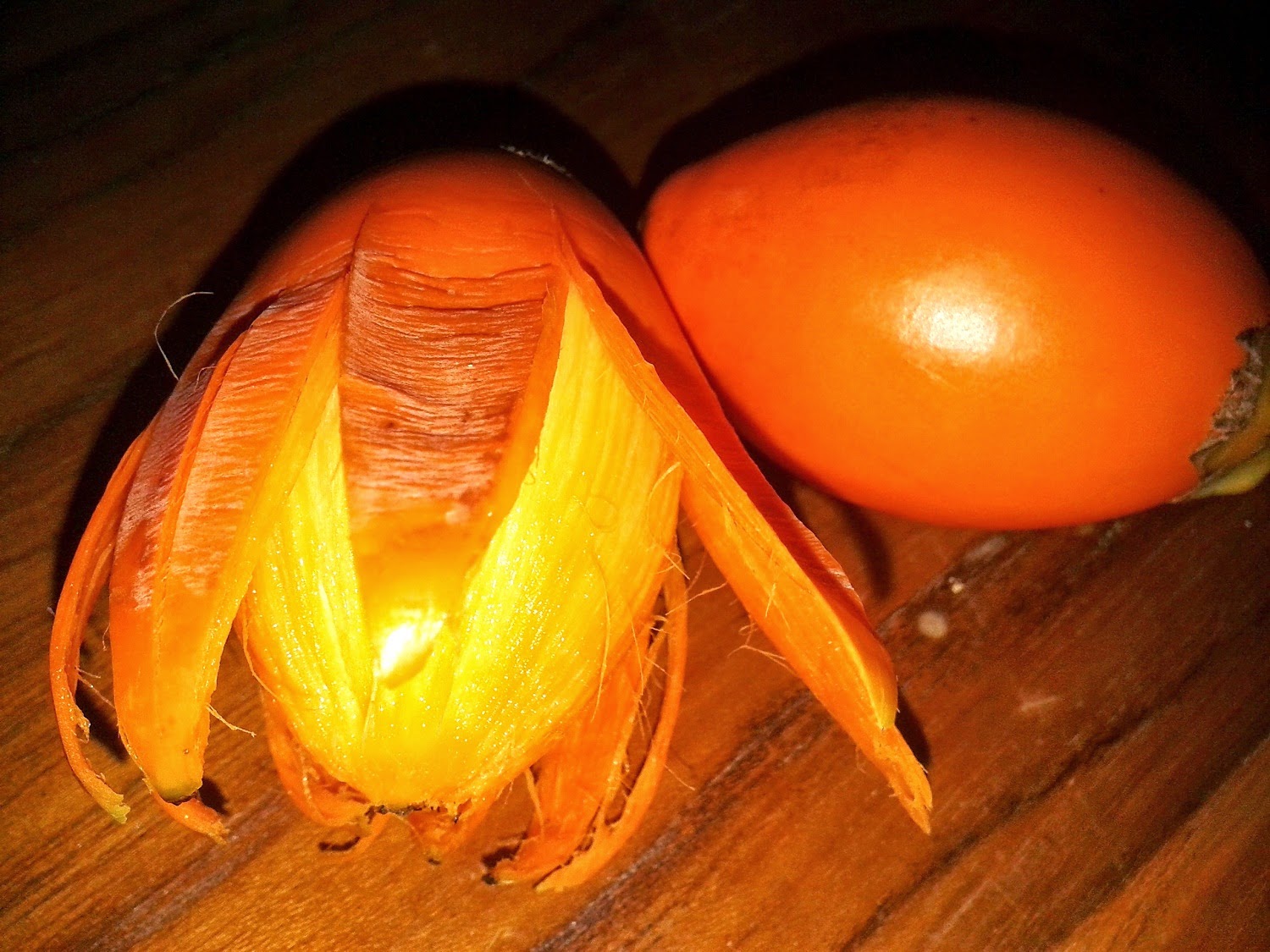Buah Pinang Foto Buah Pinang
