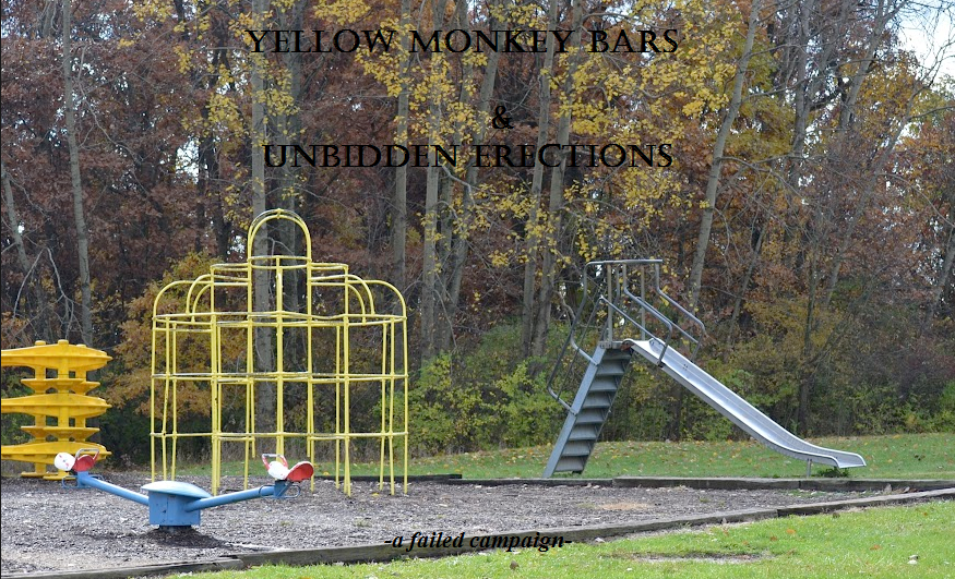 Yellow Monkey Bars & Unbidden Erections -a failed campaign- a novel