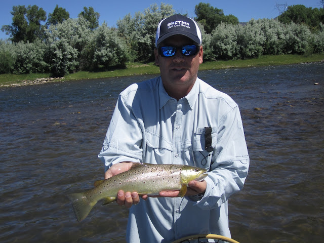 Colorado+River+Brown+trout+with+dan+bright+and+Jay+Scott+Outdoors.JPG