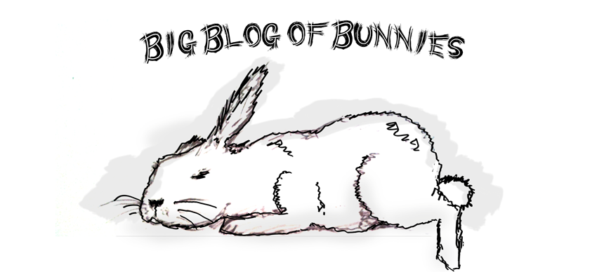 Blog of Bunnies