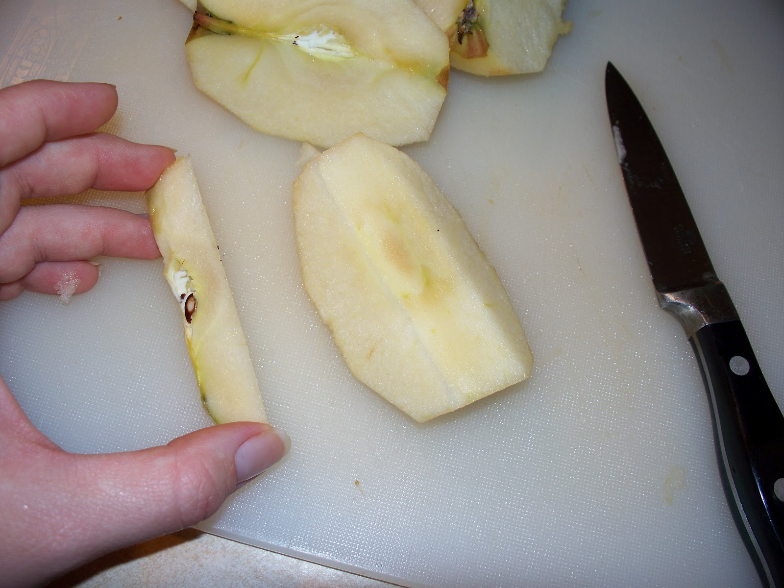 Molly's Lunch Box Salad Lunch with Homemade Applesauce and Recipe