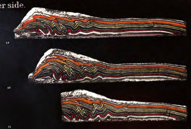 Fuente: http://blogs.scientificamerican.com/history-of-geology/files/2014/02/WILLIS_1891_Mechanics_Appalachian_wax_folds.jpg
