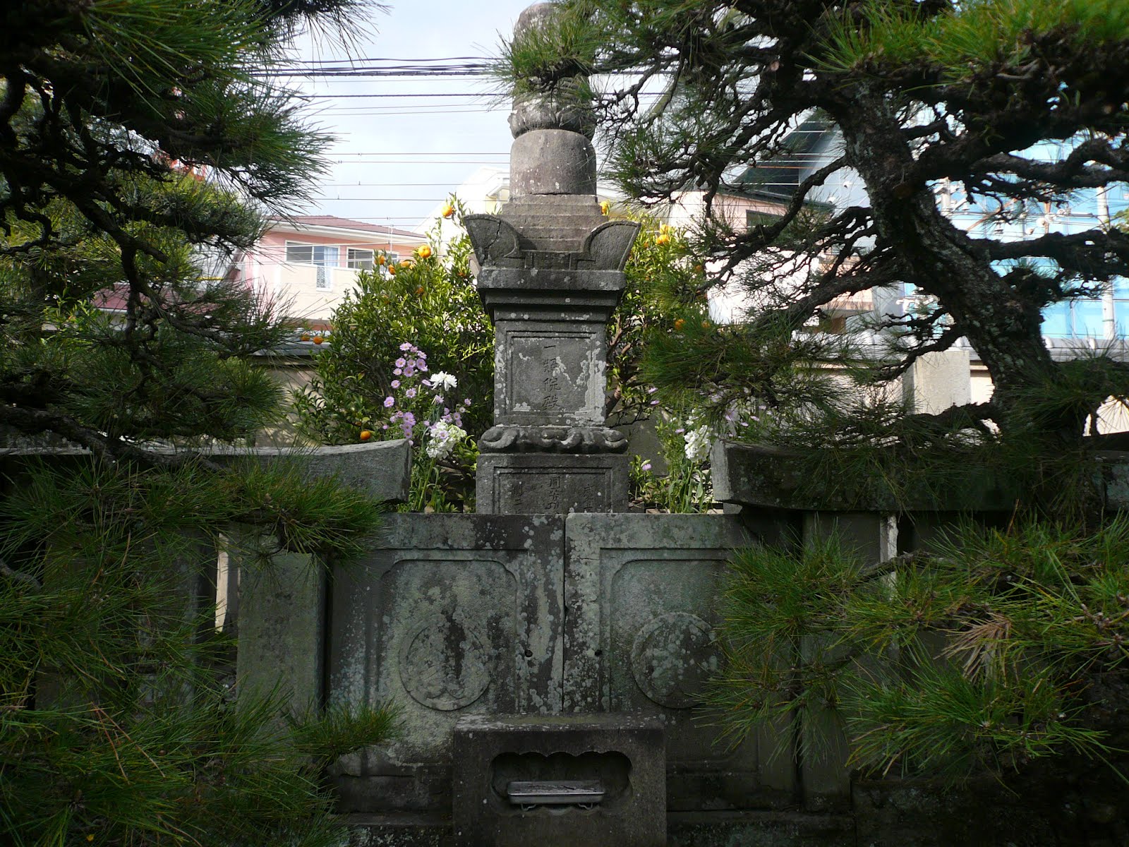 市姫（いちひめ）墓マイラーが行く。