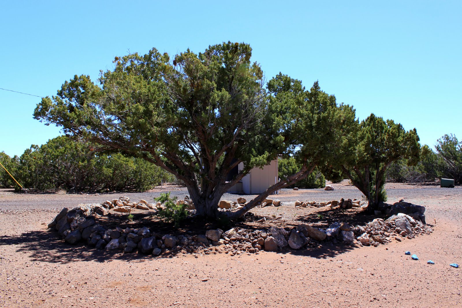 House for Sale in Show Low, AZ