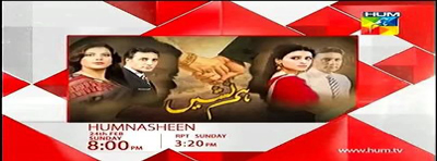 humnasheen last episode 22 is a pakistani drama writer of drama