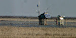 GAS NATURAL en Doñana. Dossier