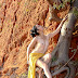 Vietnam Sexy Girl Nude taking Photos with natural thumbnail