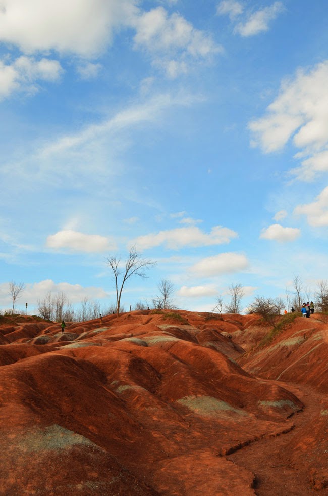 Woman in Real LifeThe Art of the Everyday The Cheltenham Badlands