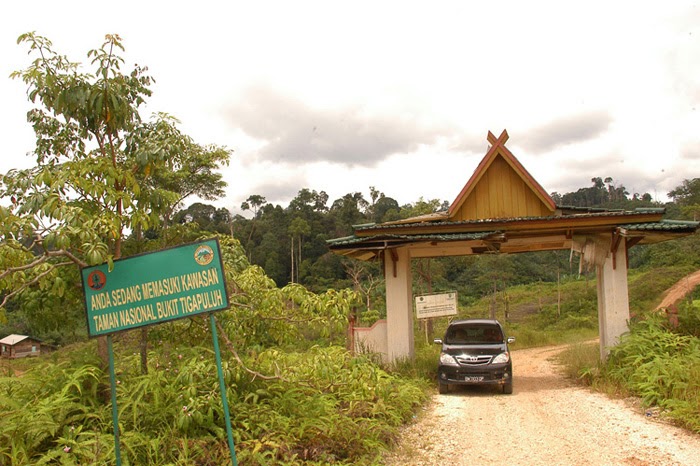 Taman Nasional Bukit Tiga Puluh Bumi Nusantara