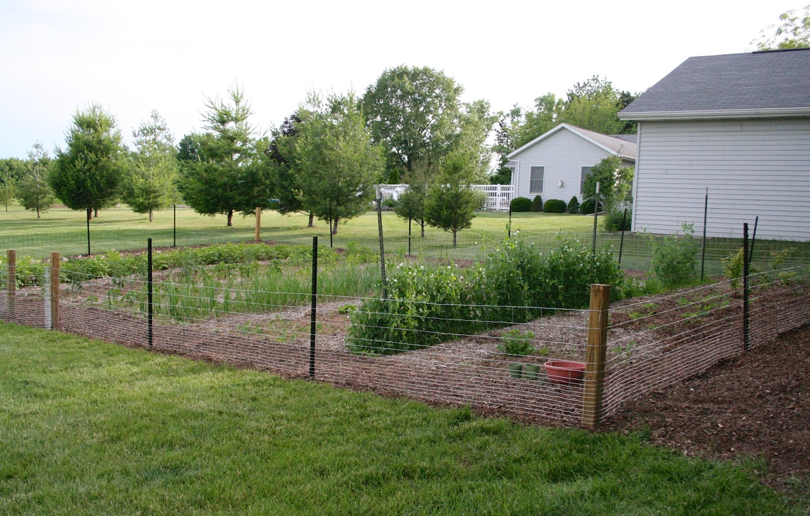 The Jacobs Journal: The evolution of the Jacobs Garden