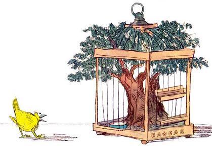 пернатый баобаб баобаб ты и есть!