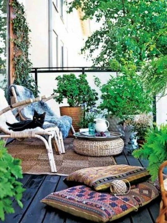 Piante da balcone