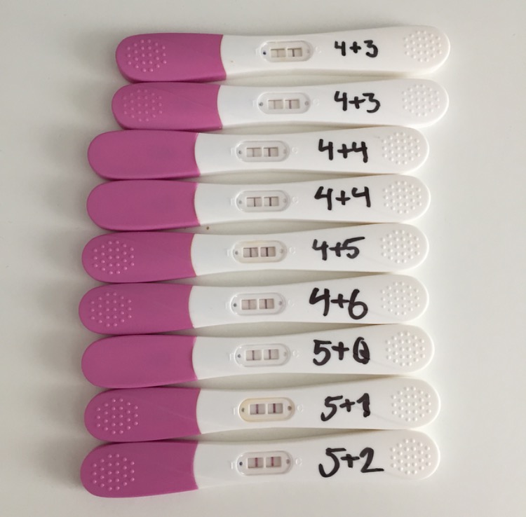 hvornår kan man blive gravid