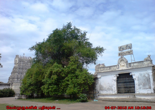 Thirupachur Shiva Temple
