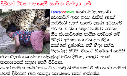 gossip lanka today hot news gossip lanka e news gossip lanka today hot news gossip lanka e news