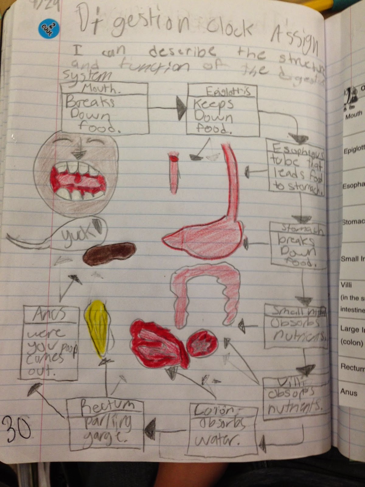 Comic Strip Of Digestive System - jdmvzzu